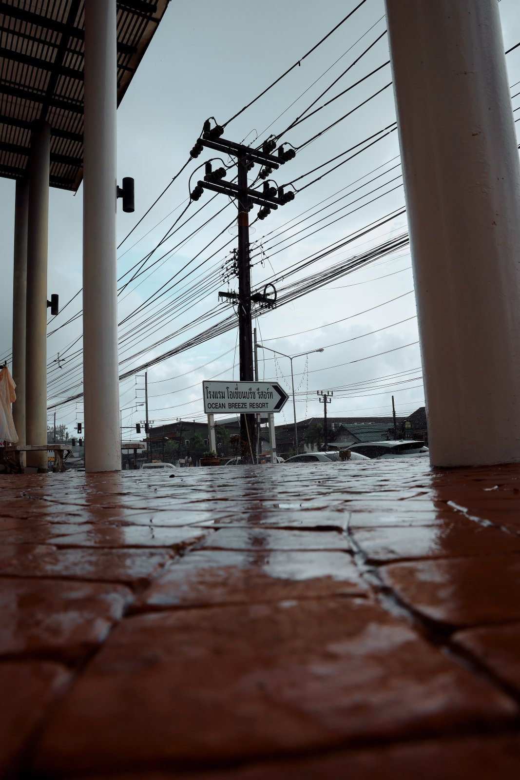 3S3A2574189.jpg