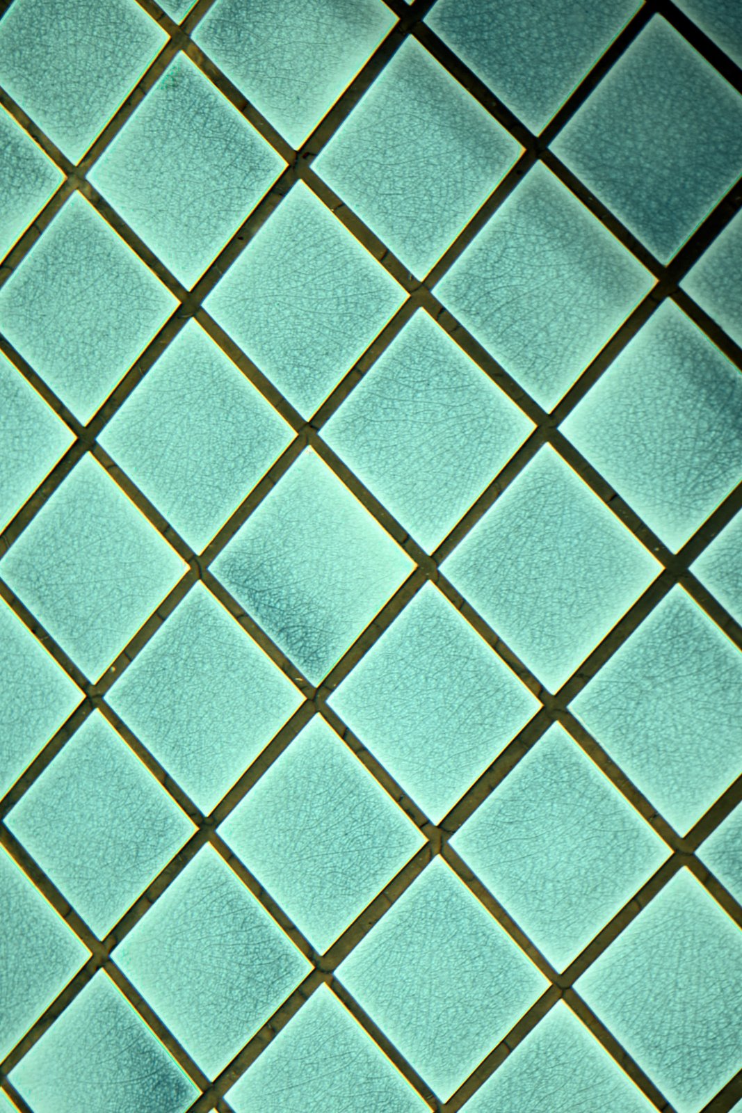C92A6406315.jpg